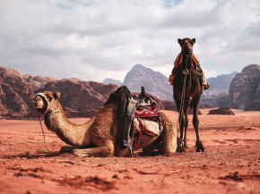 Wadi Rum Nights